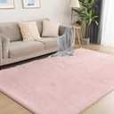 Soft 5x7 Pink Rug, Fluffy Area Rugs for Living Room, Plush Area Rugs for Bedroom, Non-Slip Indoor Carpet for Nursery, Study Room, Kids Room, Room Decor