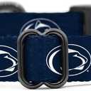 Penn State Nittany Lions Collars and Leashes | Officially Licensed | Fits All Pets! (Small Collar)