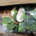 45" H Artificial Camellia Tree 2 Pack - Woven Planter with 28 Flowers,Faux Plant for Office Decor & Indoor Outdoor Home Wedding Decor(White)