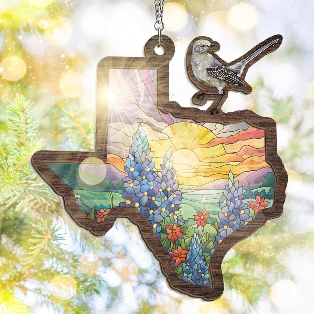 FLAGWIX Texas Gifts for Women Men - Double Layered Suncatcher Hanging Decorations 6 in - Christmas Decorations Indoor, Texas Sun Catchers for Home Decor, Mockingbird Bluebonnet Suncatchers (Large)