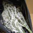 10Pcs Amaranthus Artificial Hanging Plants Fake Amaranthus Flower Bleached Wisteria 33" Long Hanging & Cascading Flowers for Wedding Floral Arrangement, Home Garden Decor, Party Supplies