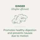 Traditional Medicinals Tea, Organic Ginger, Healthy Digestion, Pleasantly Spicy & Warming, 16 Tea Bags (EXP 01/01/27)