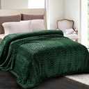 Whale Flotilla Flannel Fleece Queen Size Bed Blanket, Lightweight Breathable Soft Bedspread Plush Fluffy Coverlet Chevron Design Decorative Blanket for All Season, 90x90 Inch, Emerald Green