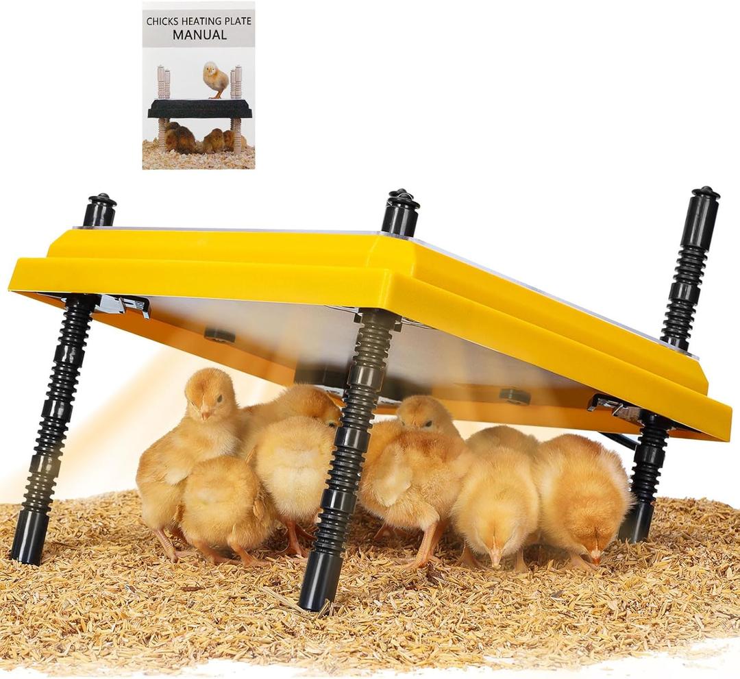 Brooder Heating Plate for Chicks Adjustable: with Bonus 10x10 Warmer with Easy- Cleaning Plate 15W Poultry Coop Heater for 12 Baby Chick