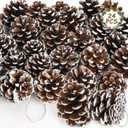 24 PCS Natural Pine Cones, 1.96 in Pinecone Ornaments, Pine Cones for Crafts with Sliver String, Decorative DIY Craft for Christmas Tree Christmas Table Decorations, Winter Decor Vase Filler