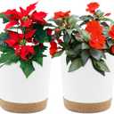 QCQHDU 6.5 inch Plant Pot, 2 Pack Planters for Indoor Plants with Drainage Holes & Saucer, Outdoor Flower Pots Home Garden Modern Decor (White)