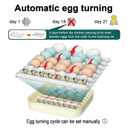 CoInceptus 35 Egg Incubator with Automatic Egg Turning and Humidity Control, Incubator for Chicken Eggs, Quail, Duck Eggs, with Egg Candler