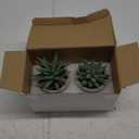Der Rose Set of 2 Succulents Plants Artificial Fake Plants for Living Room Bathroom Bedroom Aesthetic Home Shelf Decor