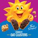 Kellogg's Raisin Bran Crunch Breakfast Cereal, Good Source of Fiber, Giant Size, 24.5 oz (EXP 02/07/27)