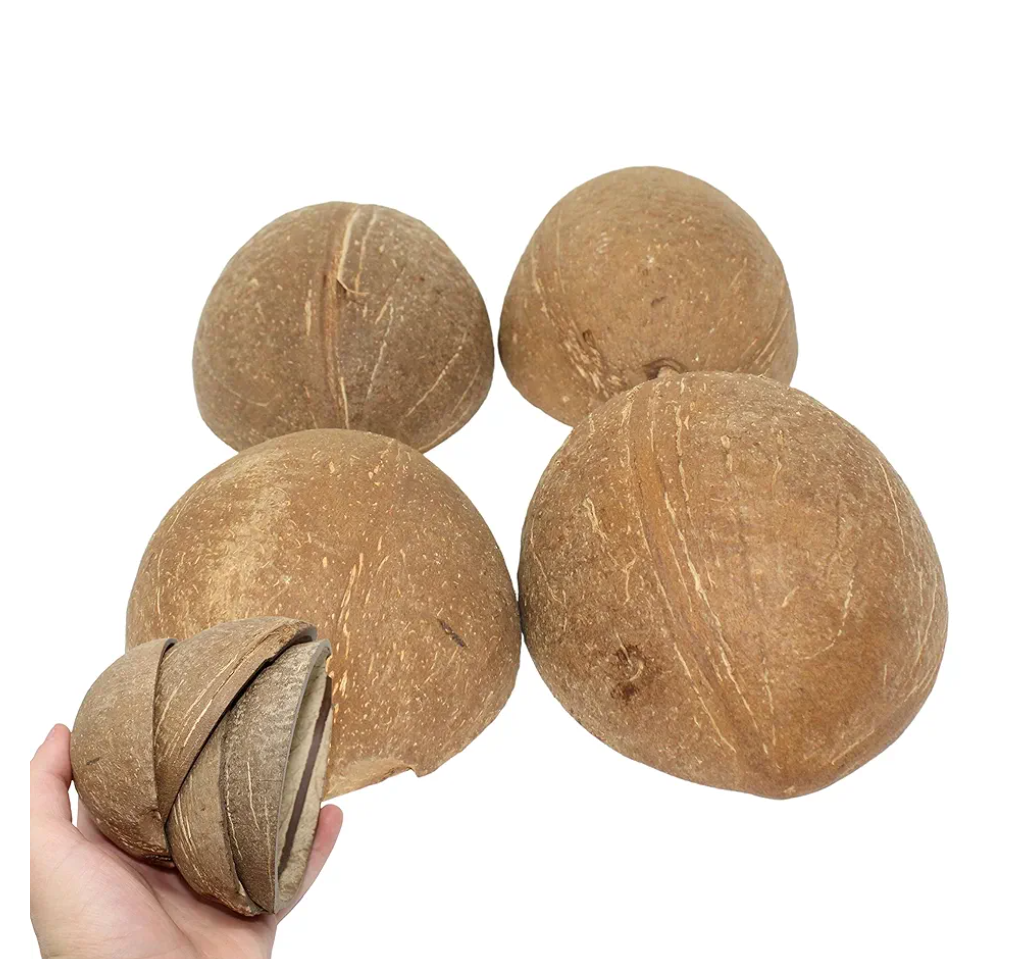 Bonka Bird Toys 1031 Pk10 Half Shell Coconuts Natural Forage Chewing Party Arts Craft Parrot Macaw African Grey