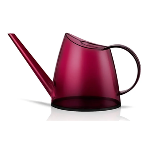 WhaleLife Indoor Watering Can for House Bonsai Plants