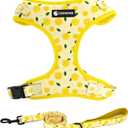 Dog Harness and Leash Set, Adjustable Dog Harness, Dog Leash, No Pull No Choke Puppy Harnesses for Walking Training for Small, Medium, Large Pet (Lemon, S(Chest 13-19", Neck 9.5-13.1"))