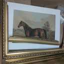 ARPEOTCY Vintage Gold Framed Horse Wall Art, Bedroom Bathroom Living Room Classic Horse Picture Wall Decor, Canvas Prints, Antique Picture Frame Rustic Paintings Home Farmhouse Decor, 11x14 Inch
