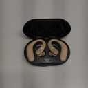 Royal Hearing F-AID Bluetooth Hearing Aid W/ Rechargeable Case Brown