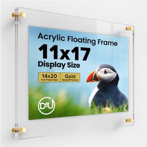 Acrylic Floating Frames Gold Standoffs(single) 11" x 17" Clear Acrylic Frames for Wall Mount Floating Picture Frame, Diploma Poster Certificate Hanging Photo Display Degree Prints Artwork Documents, Fits 11" x 17" Photo