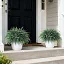 FOTEEWL Artificial Ferns Potted Plant for Front Door Decoration - 2 Sets UV Resistant Realistic Bush Faux Greenery Fern Potted Fake Plants for Home Garden Porch Farmhouse Decor