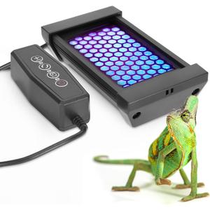 Dimmable LED Reptile UVB Lamp, 8000 Hours UVB Duration for Much Longer Lifespan, Adjustable 4/8/12-Hour Cycles, Suitable for Tortoise and Gecko, 4W, S Size (5INCH)