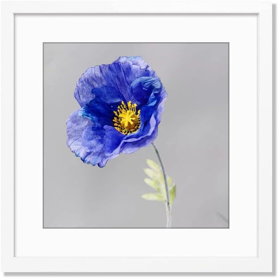 VNVNK 17x17 Frame White, Perfect for 17x17 Inch Picture without Mat or 13x13 Inch Picture with Mat, Home Wall Decor Picture Frame-1 PCS