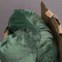 Electric Heated Blanket Full Size 72" x 84" - 5 Heat Settings & 10H Auto-Off, Microplush Flannel & Sherpa Lining, Machine Washable, Overheat Protection, Ideal Gifts for Home/Bedroom/Sofa, Green