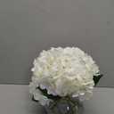 Hollyone Hydrangea Artificial Flowers with Vase White Silk Fake Flowers Arrangements in Glass Vase with Faux Water for Home Bathroom Office Table Centerpiece Shelf Decorations