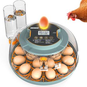 Egg Incubators for Hatching Eggs, Egg Incubator with Automatic Egg Turning and Humidity Control and Temperature Control, 18~36 Eggs Incubator for Chicken & Quail (Gray)
