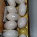 Dan&Darci Dig a Dozen Dino Egg Kit for Kids - Easter Basket Stuffers - Dinosaur Toys Gift 3-12 Year Old - 12 Eggs & Surprise Dinosaurs - Science STEM Activities - Boy Toy Party Gifts for Boys & Girls