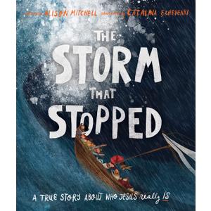 The Storm That Stopped (Tales That Tell the Truth)