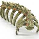 Aquarium Skull Animal Skeletons, Reptile Tank Accessories, Fish Tank Decorations for Amphibians, Betta Fish, Shrimp, Hermit Crab, Leopard Gecko