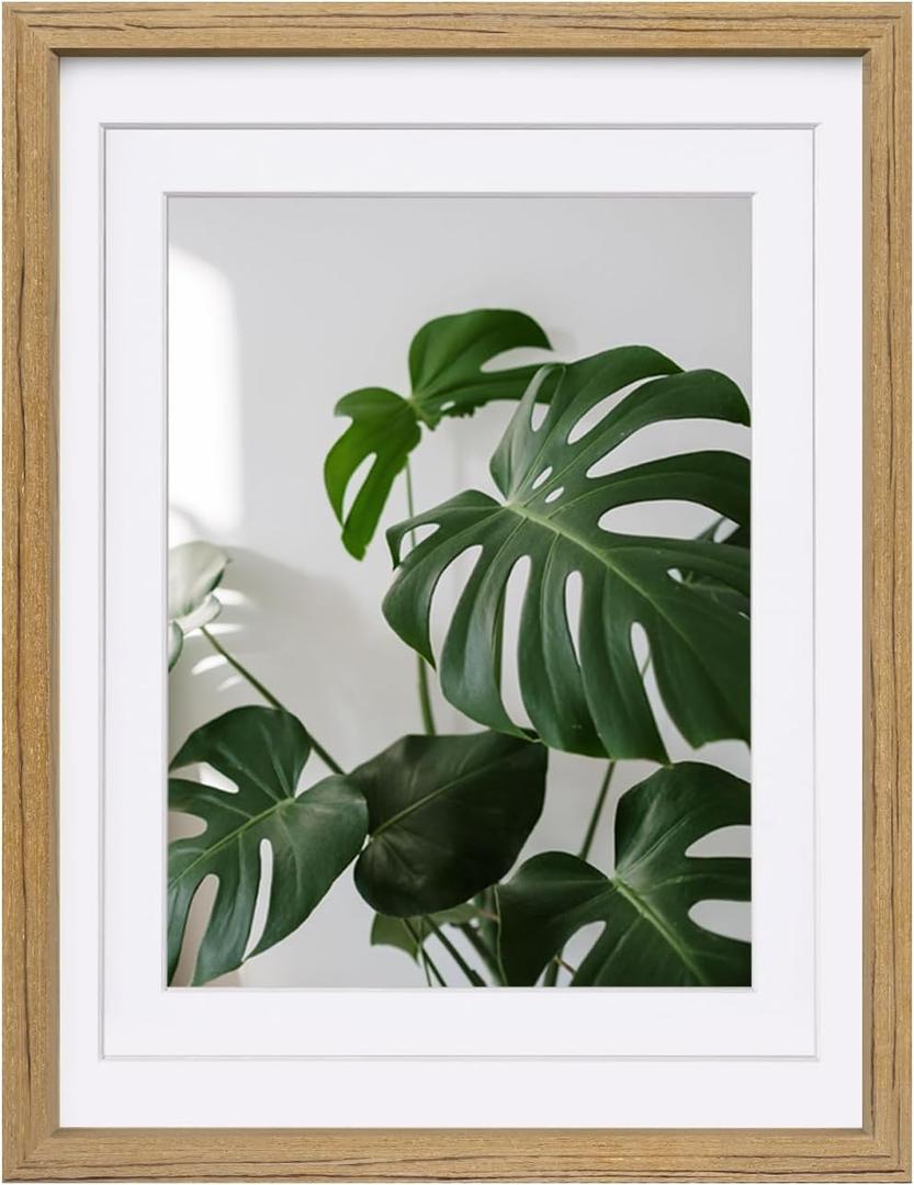 Egofine 12x16 Picture Frame with Plexiglass Made of Solid Wood, Display Pictures 9x12/11x14 with Mat or 12x16 Without Mat for Tabletop and Wall Mounting, Carbonized Brown