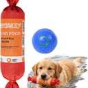 Pool Dog Toys Floating Outdoor Water Toys for Dogs with Electric Ball Rechargeable Vibration Teeth Cleaning Interactive Toy for Small Medium Dogs Cats Puppy Kitten Red Orange