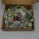 DN DECONATION 20 Inch Lighted Chirstmas Wreaths for Front Door, Artificial Winter Wreath with Lights, Eucalyptus Berry Wreath with Pine Cones for Indoor Outdoor Xmas Wreaths Home Decor