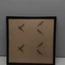 OMAIGAR 14x14 Picture Frame for 14by14 Square Poster Photo Canvas Certificate Black High Transparent Photo Frame Wall Desktop Horizontal Vertical 14 x 14