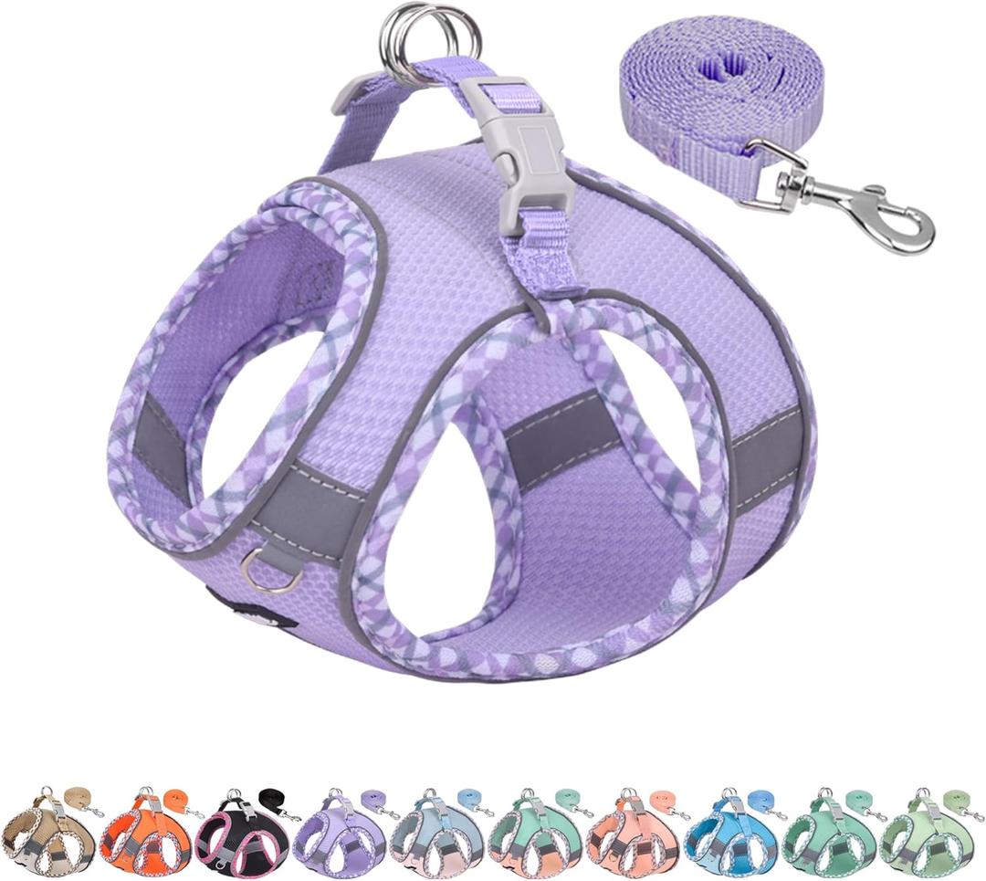 AIITLE Dog Harness and Leash Set - Ultra-Comfortable XXS-XL Vest with Strong Magic Tape & Glow-in-Dark Reflective Strips, Chafe-Free for Teddy, Schnauzer (Purple, M) (M(Chest: 15 - 17"))