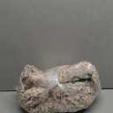 Laura Ashley - Queen Sheets, Cotton Percale Bedding Set, Lightweight & Breathable Home Decor, Oeko-Tex Certified (Sweet Success Pink, Queen)