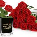 Roses Artificial Flowers, Fake Silk Roses with Stems for Valentine's Day Mother's Day Christmas, Indoor Outdoor Decor Wedding Anniversary Birthday Party Decor, Gift for Her(12, Red)