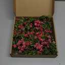 Christmas Garland with Light,Lighted Snowy Red Berries Holly Leaves Garland for Fireplace Mantle Indoor Outdoor Christmas Decoration 6.5FT Pre-lit Battery Operated Xmas String Lights 1 Pack