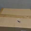 Motorcycle Helmet Holder Wall Mount, Motorcycle Accessories Display, Helmet Rack with 4 Glove Chips, Motorcycle Gear Storage for Men Women