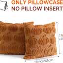 2 x Thmyo Fall Decorative Throw Pillow Covers 18x18 inch Set of 2, Caramel Pumpkin Cushion Cases for Autumn, Soft Faux Fur DIY Pillowcases for Sofa Couch Bedroom Thanksgiving Winter Home Decor Gift