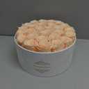 17 Forever Flowers in a Luxury Suede Box, Preserved Roses Birthday Gifts for Women, Romantic Anniversary Valentines Day Gifts for Her Girlfriend Wife, Champagne