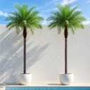 8ft Artificial Phoenix Palm Tree, Faux Coconut Silk Tropical Fake Palm Plant for Indoor Outdoor Home Office Patio Bathroom Pool Coastal Decor(Set of 2)
