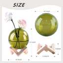 Ball-Shaped Plant Propagation Station with Wooden Stand -Glass Plant Terrarium for Home Office Kitchen Garden Decor, Plant Cuttings & Hydroponics 3.9", Clear