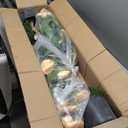 2 Pack 40" Artificial Camellia Tree with Vibrant Yellow Flowers Faux Flower Tree Plant in Pot Fake Topiaries