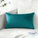 Artscope Luxury Velvet Pillow Covers Decorative Rectangle Pillowcases Soft Solid Cushion Cases for Couch Sofa Bedroom Car Decor 16x24 Inch Teal (24" x 16" (Pack of 1))