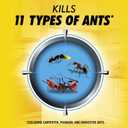 4 x Combat Max 2 in 1 Ant Bait Station, 4 Count