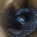 ES Robbins 122685 Everlife Carpet Chair Mat 54"x60" Clear