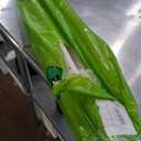 MRGARDEN 7-Feet Adjustable Garden Trellis Set for Raspberry and Climbing Plants, Outdoor Stake Vineyard Trellis, Pack of 4