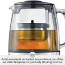 Breville BTM800XL Tea Maker Infuser and Water Kettle, 51 oz, Brushed Stainless Steel and Glass