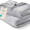 Bedsure GentleSoft Bedding Fleece Blanket for Girls and Boys - Soft Cozy Cute Small Throw Blankets for Travel, 43x55 Inches, Light Grey
