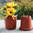 Oubest Plastic Plant Nursery Pots 6" 100 pcs Reusable for Seed Starting Seedlings Cuttings Transplanting Flower Plant Pots