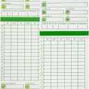 TLPMSK Time Cards for Employees Monthly, Numbered Days, All Pay Periods, 300 Count, 2-Sided, 3 3/ 8" x 7 3/ 8", Green Print, Timecards for Time Clocks